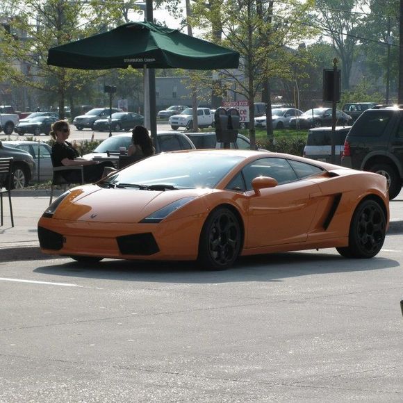 Meet your Posher, Dalton - Picture 1 of 1